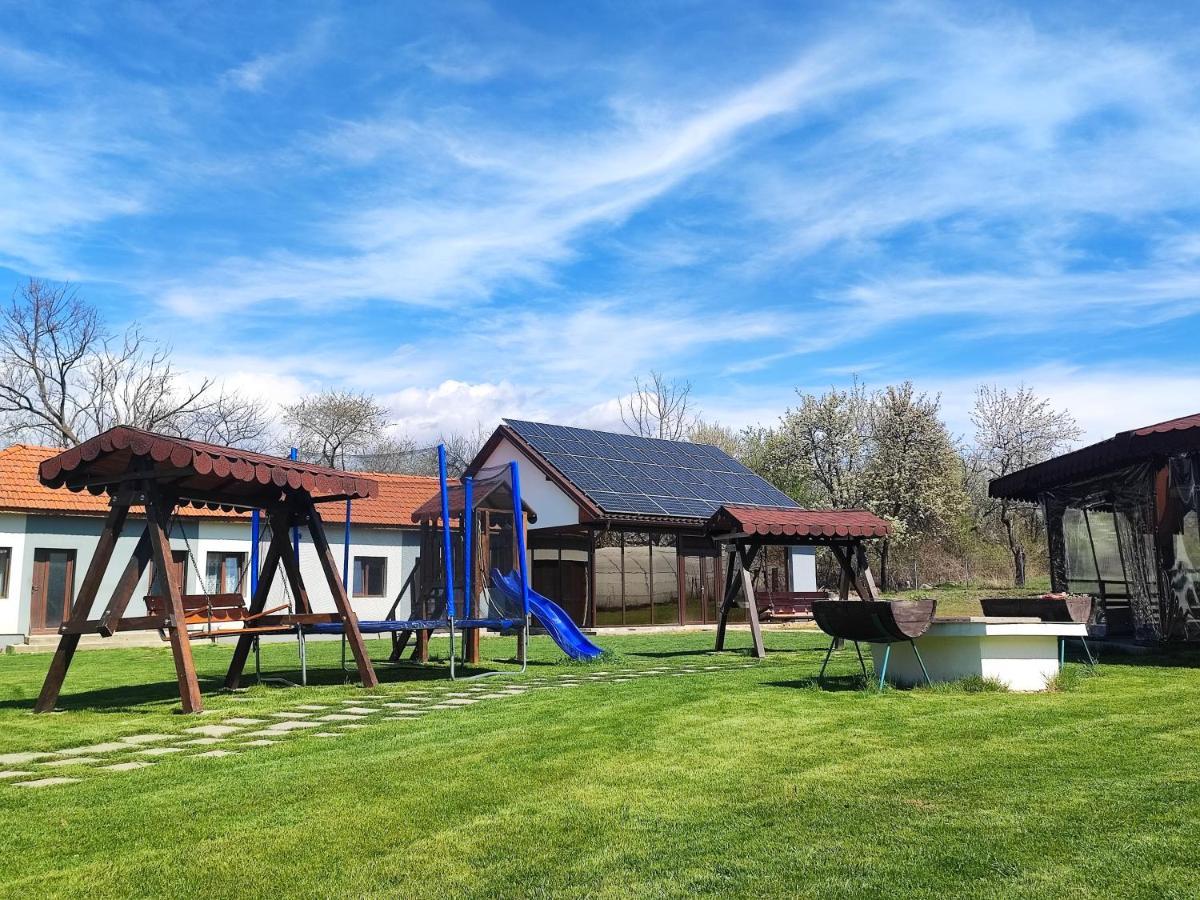 Pensiunea Casa Hortopan Târgu Jiu Εξωτερικό φωτογραφία
